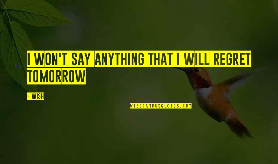 Wish For Tomorrow Quotes By Wish: I won't say anything that I will regret