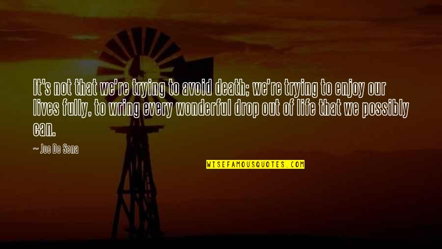 Wish He Cared More Quotes By Joe De Sena: It's not that we're trying to avoid death; Wish He Cared More Quotes By Joe De Sena: It's not that we're trying to avoid death;