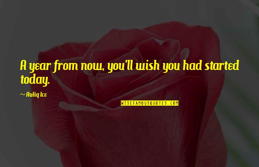 Wish I Had You In My Life Quotes By Auliq Ice: A year from now, you'll wish you had