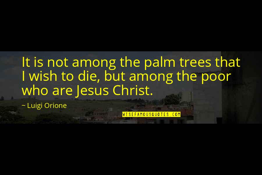 Wish To Die Soon Quotes By Luigi Orione: It is not among the palm trees that
