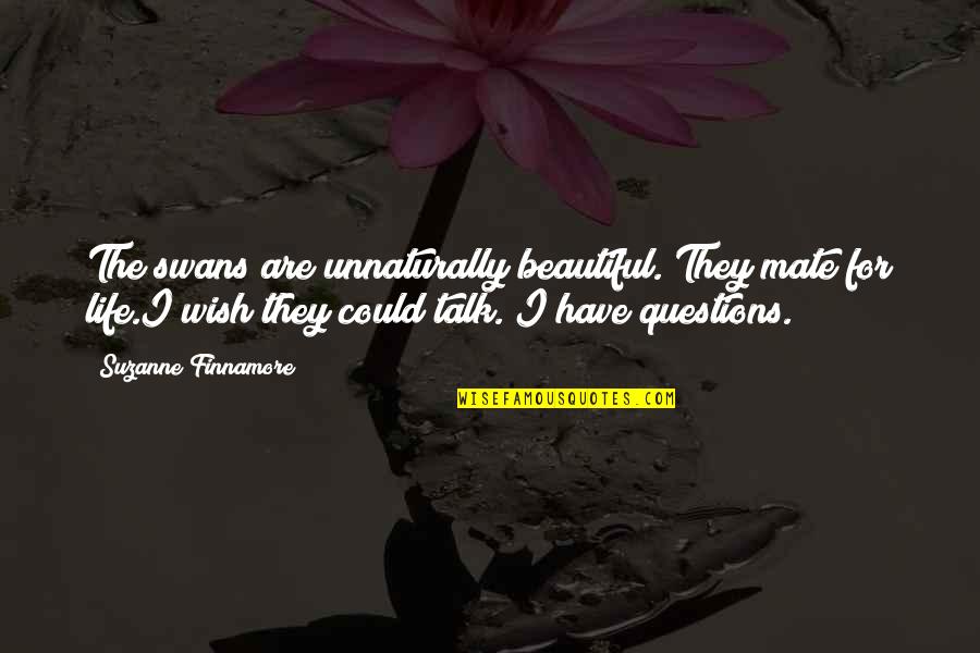 Wish We Could Talk Quotes By Suzanne Finnamore: The swans are unnaturally beautiful. They mate for Wish We Could Talk Quotes By Suzanne Finnamore: The swans are unnaturally beautiful. They mate for
