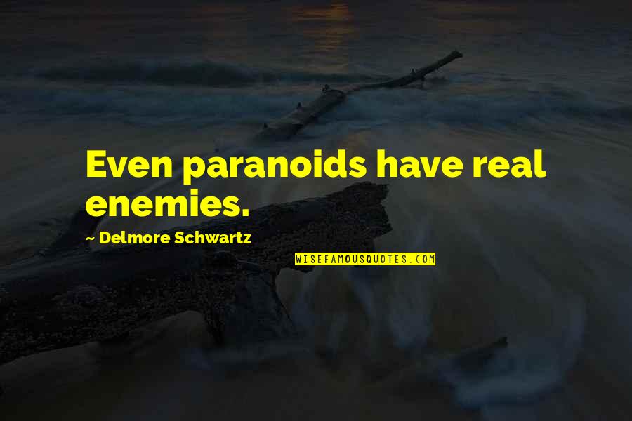 Wish You Could Understand My Love Quotes By Delmore Schwartz: Even paranoids have real enemies.