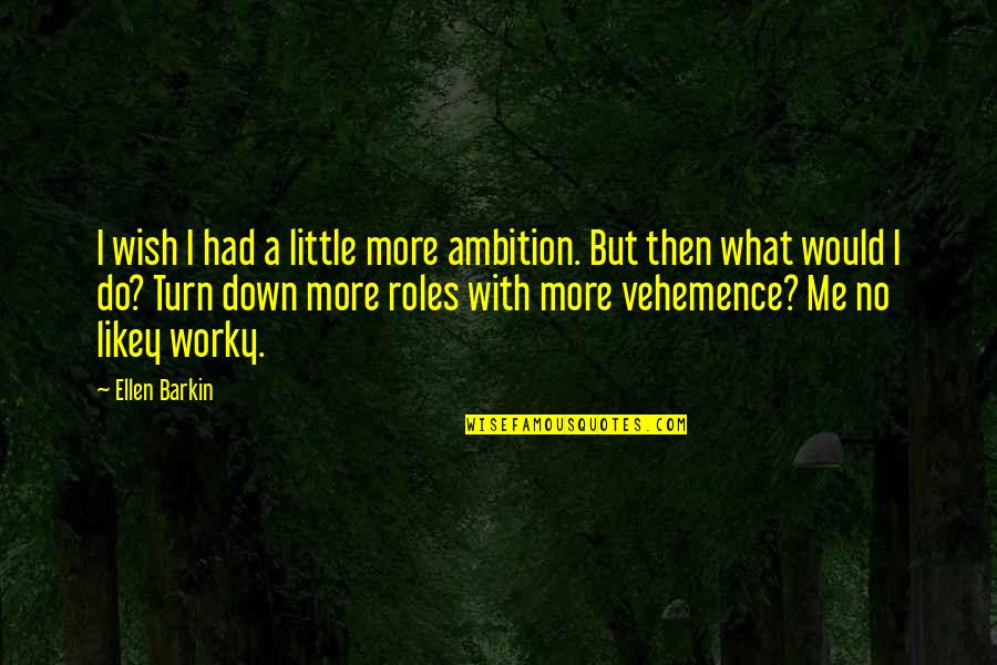 Wish You Had Me Quotes By Ellen Barkin: I wish I had a little more ambition.
