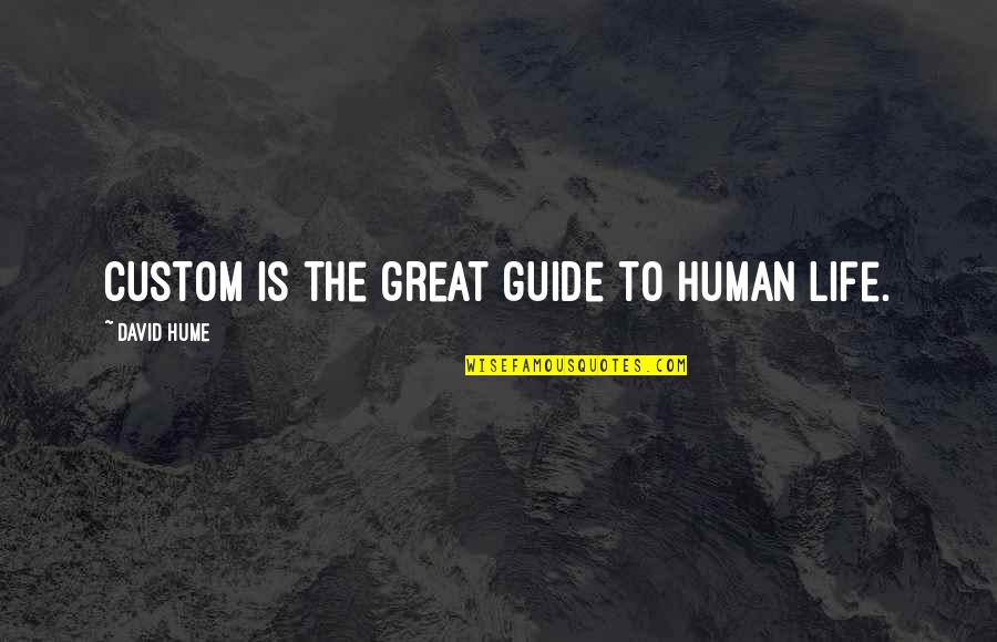 Wish You Would Care More Quotes By David Hume: Custom is the great guide to human life.