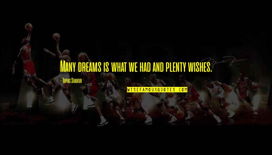Wishes And Dreams Quotes By Tupac Shakur: Many dreams is what we had and plenty Wishes And Dreams Quotes By Tupac Shakur: Many dreams is what we had and plenty