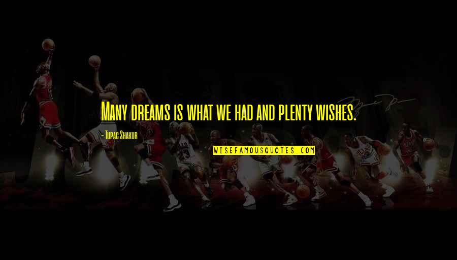 Wishes And Quotes By Tupac Shakur: Many dreams is what we had and plenty