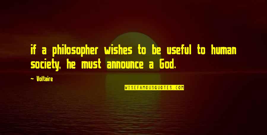 Wishes To God Quotes By Voltaire: if a philosopher wishes to be useful to