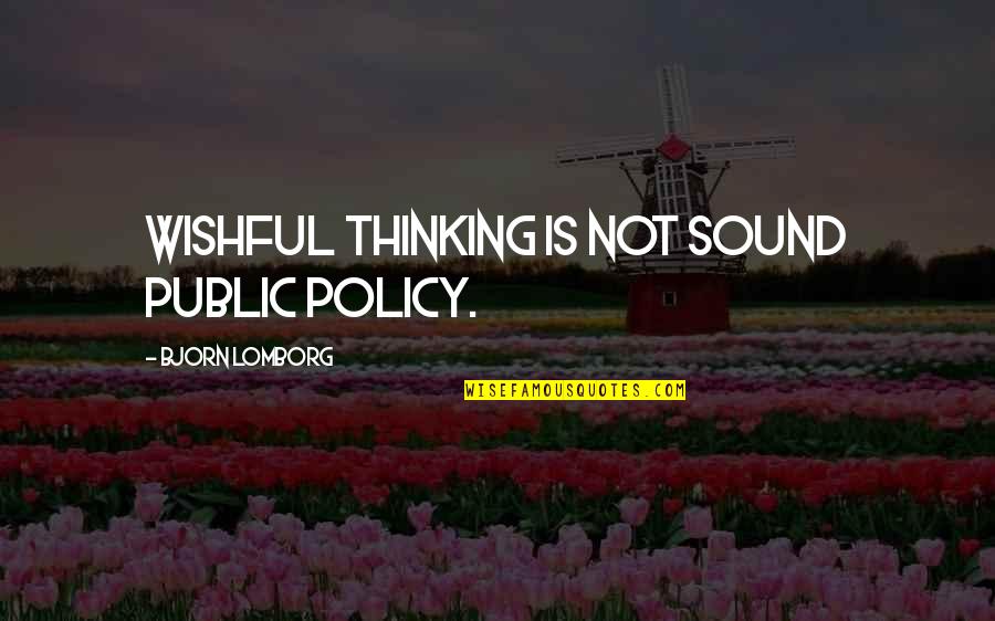 Wishful Quotes By Bjorn Lomborg: Wishful thinking is not sound public policy.