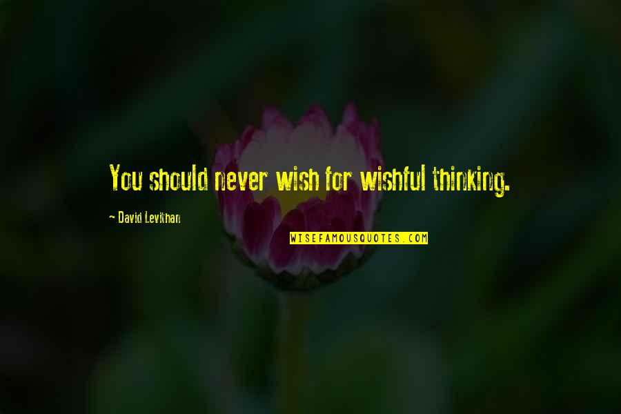 Wishful Quotes By David Levithan: You should never wish for wishful thinking.