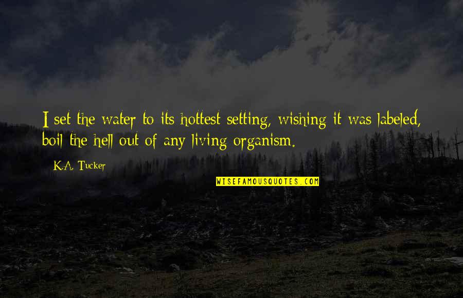 Wishing The Best For Your Ex Quotes By K.A. Tucker: I set the water to its hottest setting, Wishing The Best For Your Ex Quotes By K.A. Tucker: I set the water to its hottest setting,