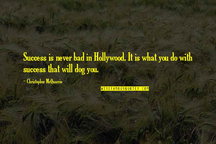 Wishing Wellness Quotes By Christopher McQuarrie: Success is never bad in Hollywood. It is