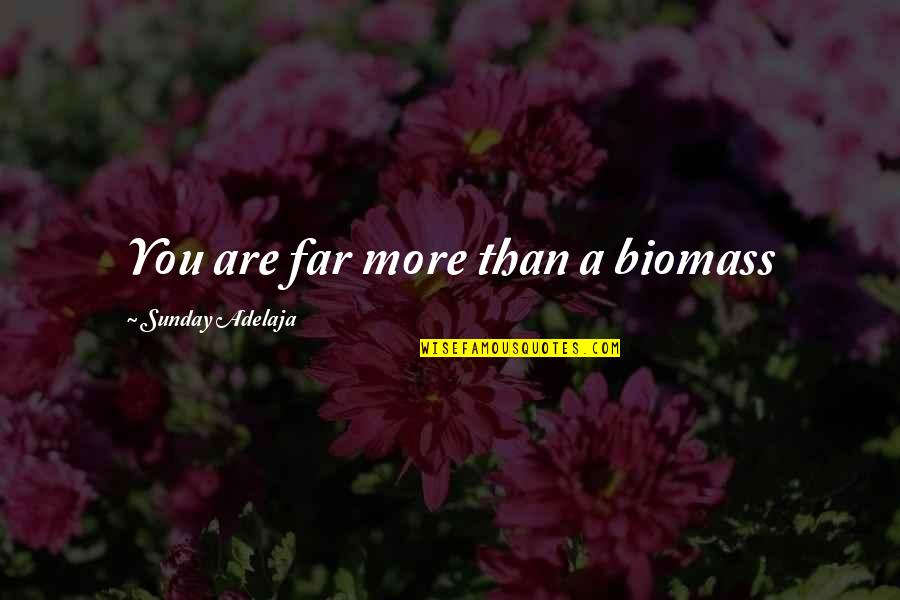 Wishing Wells Quotes By Sunday Adelaja: You are far more than a biomass