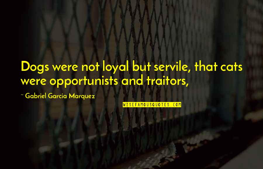 Wishing You Hadn't Said Something Quotes By Gabriel Garcia Marquez: Dogs were not loyal but servile, that cats