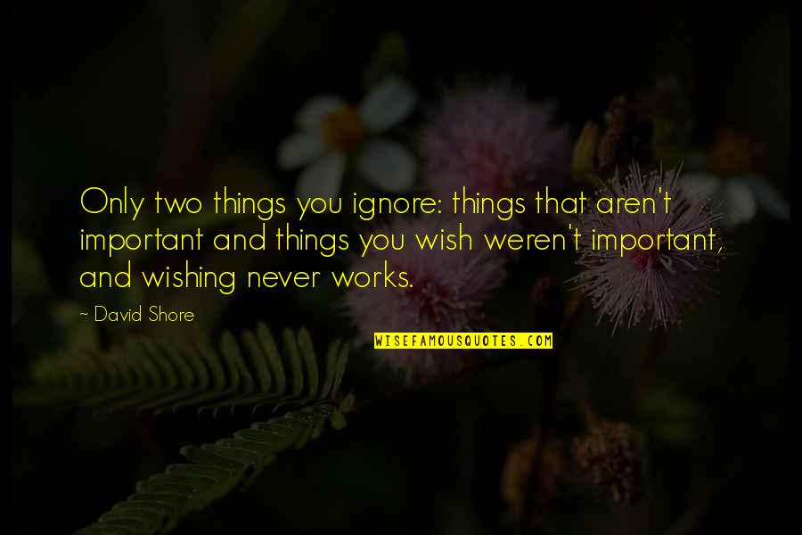 Wishing You Quotes By David Shore: Only two things you ignore: things that aren't