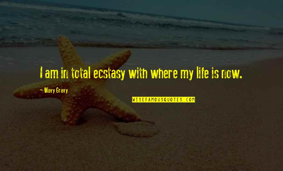 Wisian Quotes By Wavy Gravy: I am in total ecstasy with where my