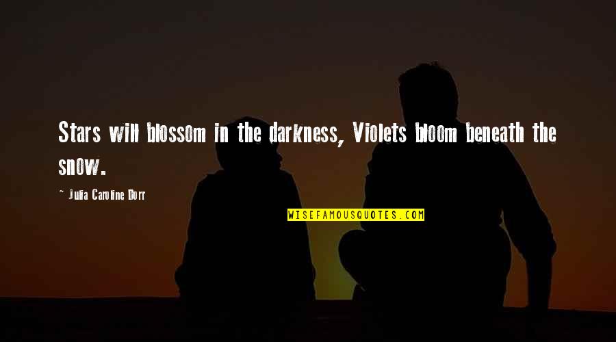 Wiskunde Academie Quotes By Julia Caroline Dorr: Stars will blossom in the darkness, Violets bloom Wiskunde Academie Quotes By Julia Caroline Dorr: Stars will blossom in the darkness, Violets bloom