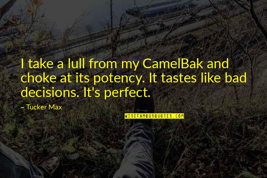 Wisley Card Quotes By Tucker Max: I take a lull from my CamelBak and