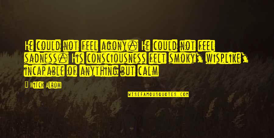 Wisplike Quotes By Mitch Albom: He could not feel agony. He could not