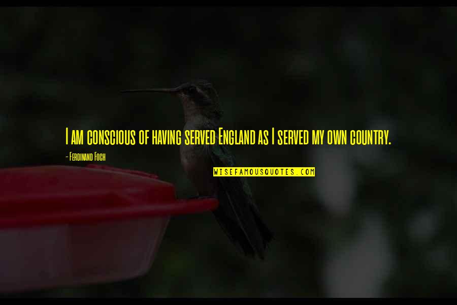 Witch Doctor Dota Quotes By Ferdinand Foch: I am conscious of having served England as