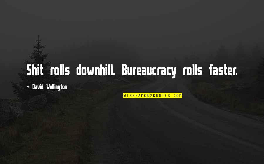 Witchfinding Quotes By David Wellington: Shit rolls downhill. Bureaucracy rolls faster.