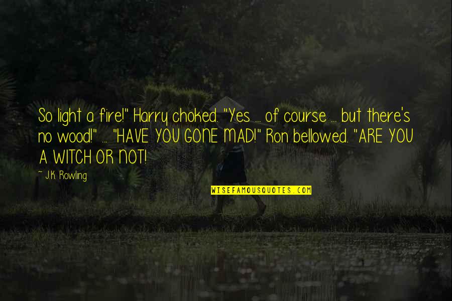 Witch's Quotes By J.K. Rowling: So light a fire!" Harry choked. "Yes ... Witch's Quotes By J.K. Rowling: So light a fire!" Harry choked. "Yes ...