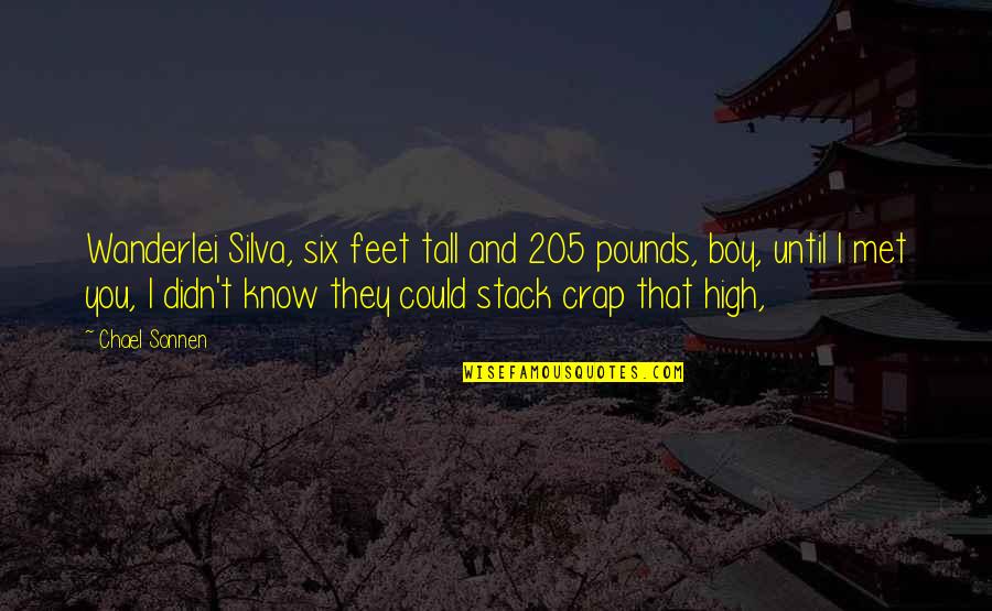 With Blossoms Gold Quotes By Chael Sonnen: Wanderlei Silva, six feet tall and 205 pounds,
