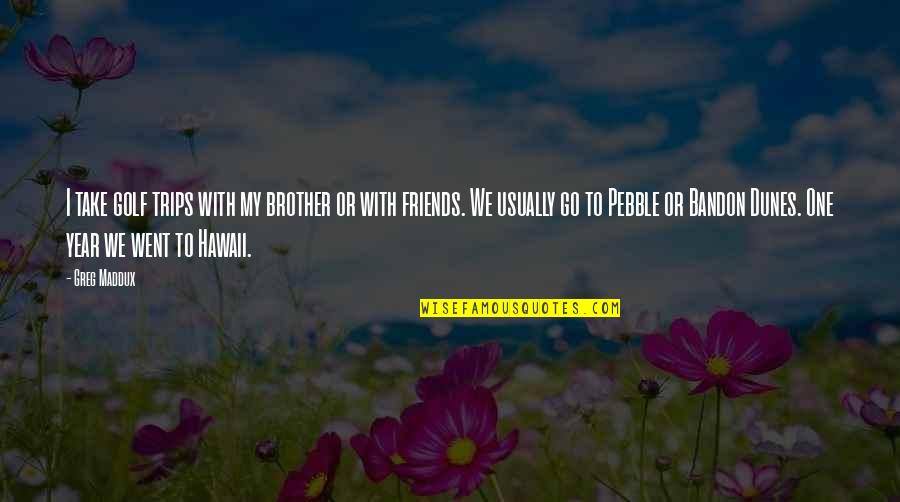 With My Friends Quotes By Greg Maddux: I take golf trips with my brother or