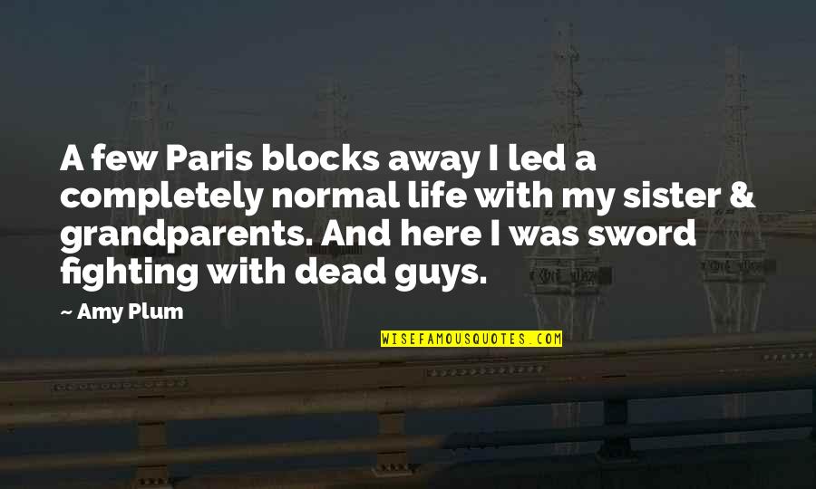 With My Sister Quotes By Amy Plum: A few Paris blocks away I led a