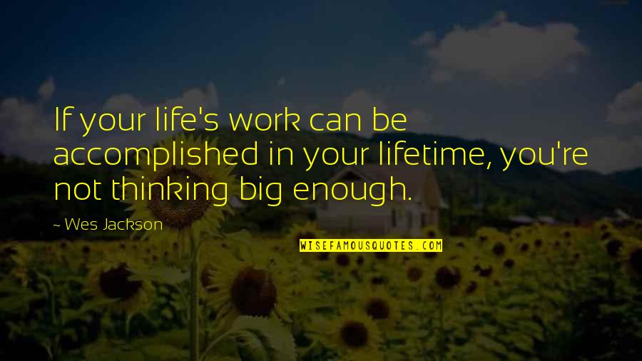 Withdrawing From Drugs Quotes By Wes Jackson: If your life's work can be accomplished in