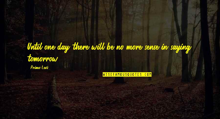 Withey And Co Quotes By Primo Levi: Until one day there will be no more