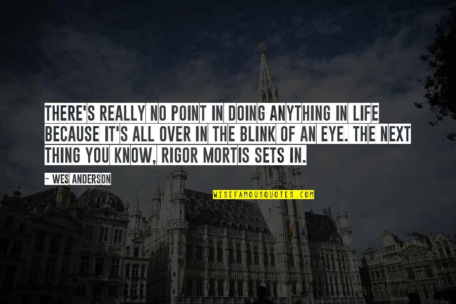 Within A Blink Of An Eye Quotes By Wes Anderson: There's really no point in doing anything in