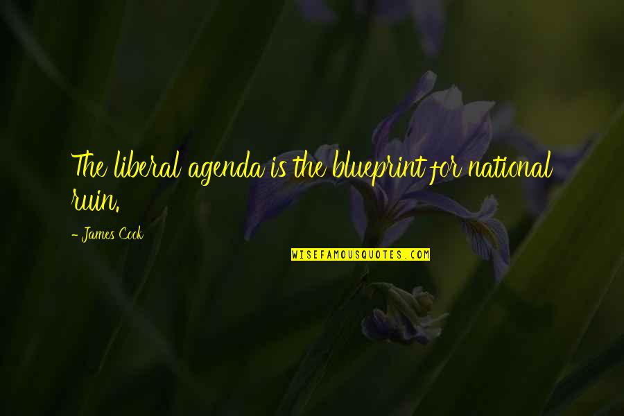 Within The Ruins Quotes By James Cook: The liberal agenda is the blueprint for national