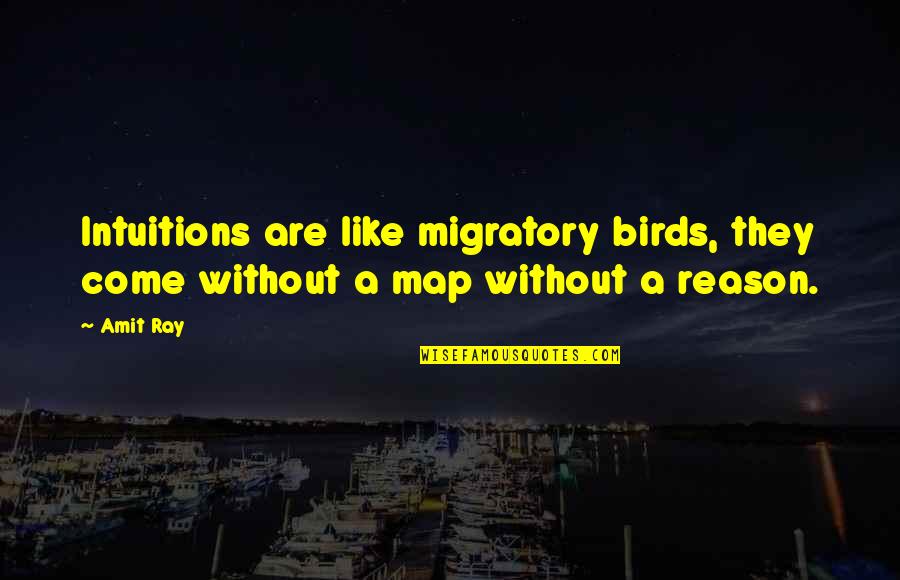 Without A Map Quotes By Amit Ray: Intuitions are like migratory birds, they come without