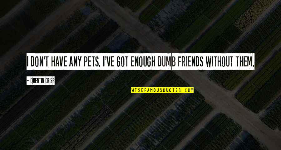 Without Friends Quotes By Quentin Crisp: I don't have any pets. I've got enough