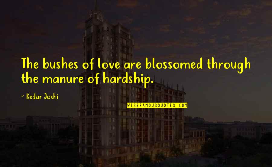 Without Hardship Quotes By Kedar Joshi: The bushes of love are blossomed through the