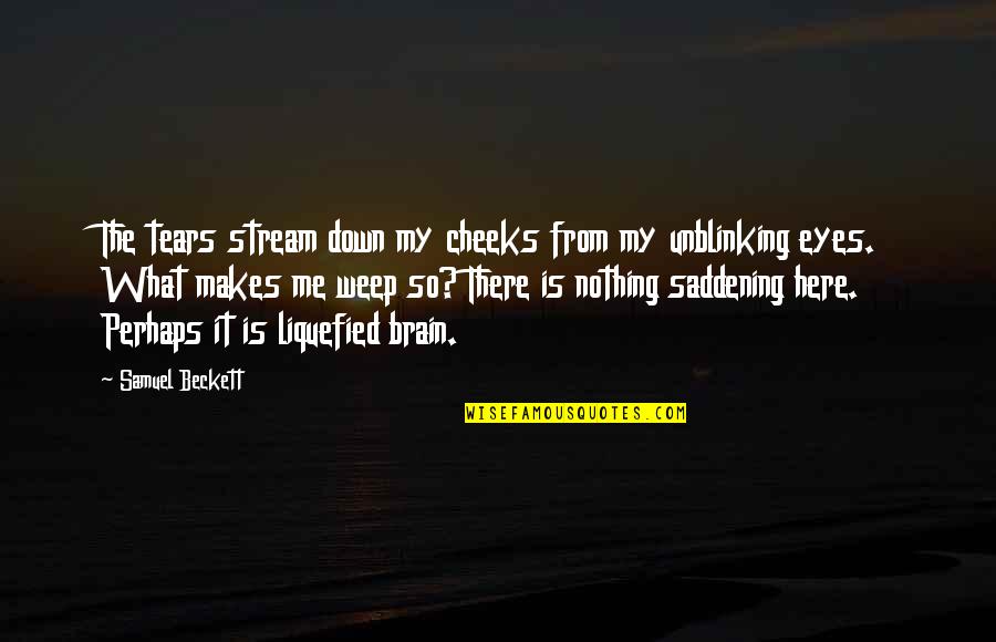 Without Me You're Nothing Quotes By Samuel Beckett: The tears stream down my cheeks from my