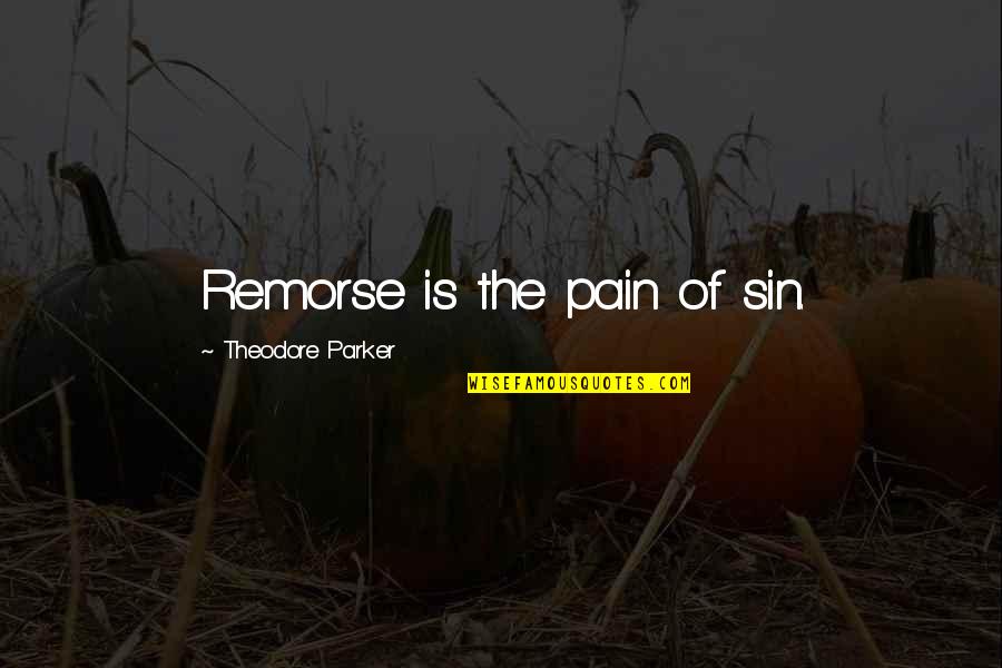 Without Remorse Quotes By Theodore Parker: Remorse is the pain of sin.