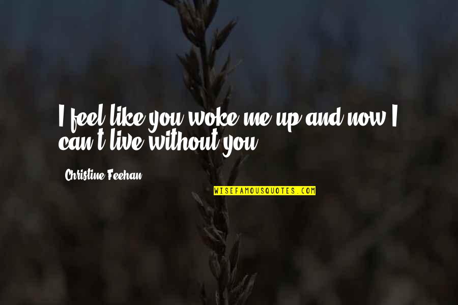 Without You I Feel Quotes By Christine Feehan: I feel like you woke me up and