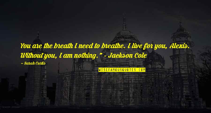 Without You I'm Nothing Quotes By Sarah Curtis: You are the breath I need to breathe.