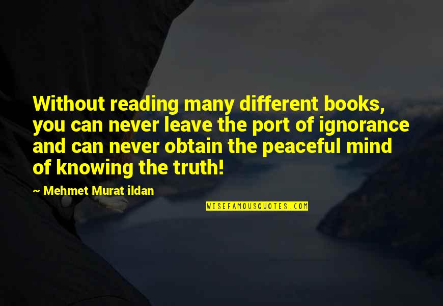 Without You Quotes And Quotes By Mehmet Murat Ildan: Without reading many different books, you can never