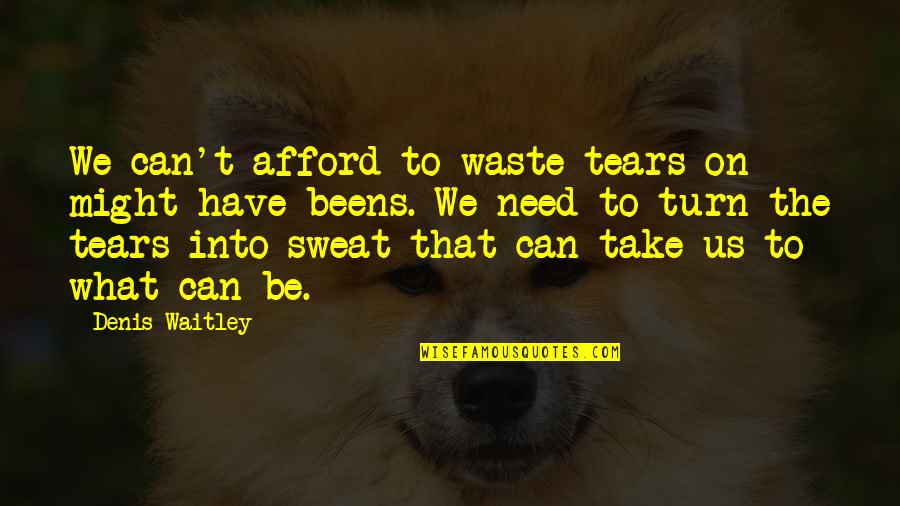 Witkin Quotes By Denis Waitley: We can't afford to waste tears on might-have-beens.