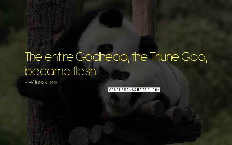 Witness Lee quotes: The entire Godhead, the Triune God, became flesh.