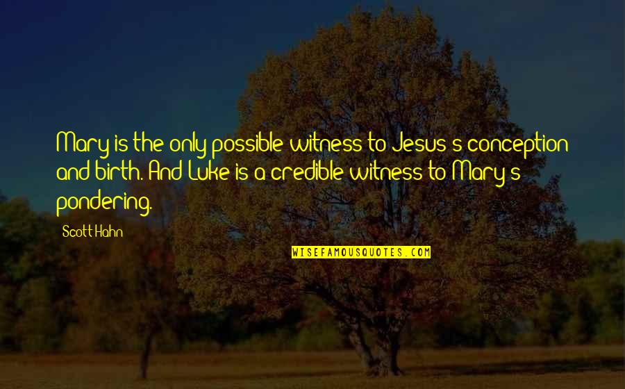 Witness Of Jesus Quotes By Scott Hahn: Mary is the only possible witness to Jesus's