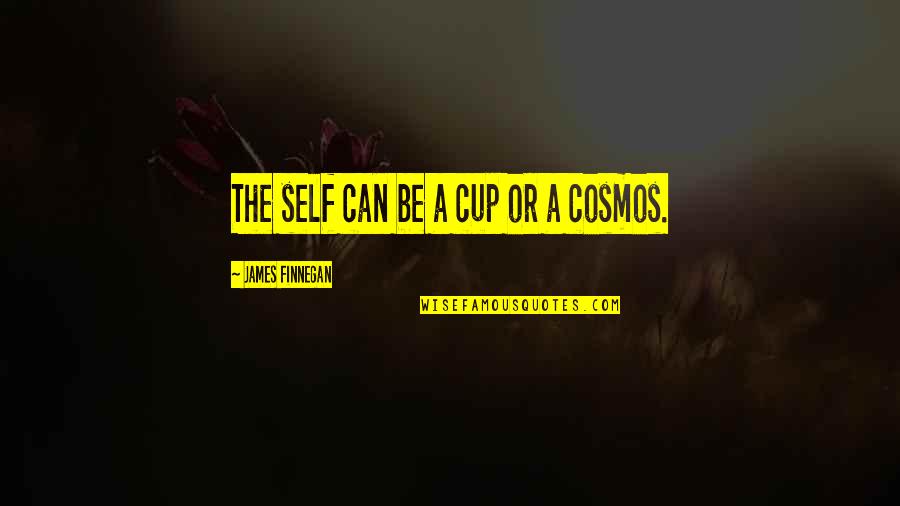 Wittedly Quotes By James Finnegan: The self can be a cup or a