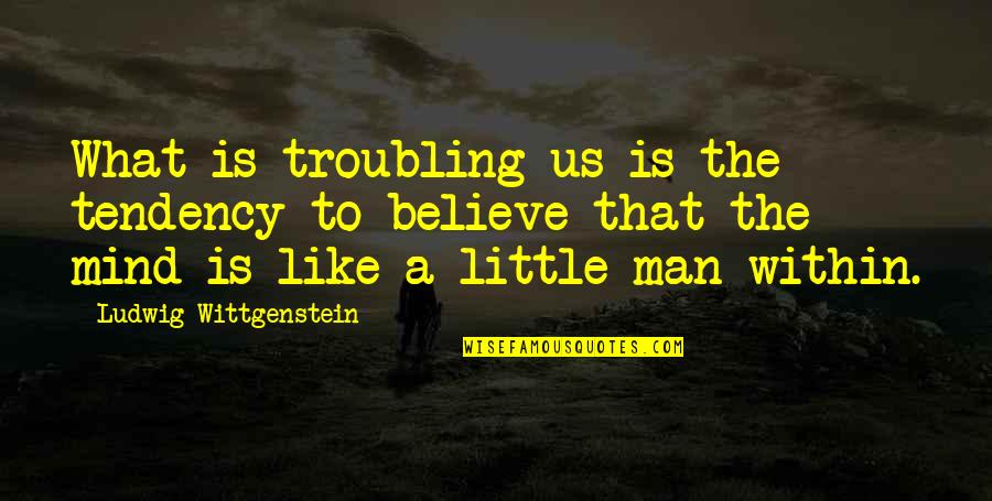 Wittgenstein Quotes By Ludwig Wittgenstein: What is troubling us is the tendency to Wittgenstein Quotes By Ludwig Wittgenstein: What is troubling us is the tendency to