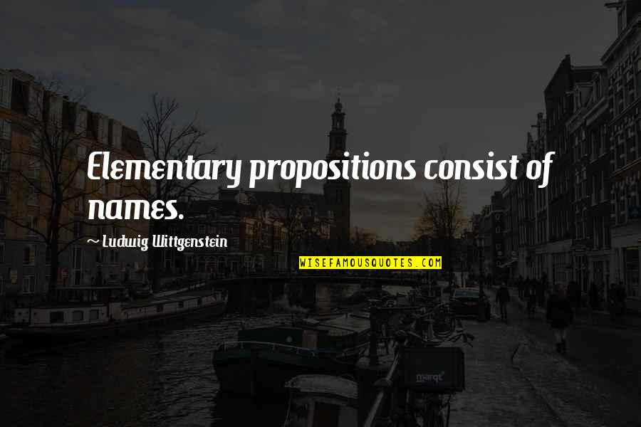 Wittgenstein's Quotes By Ludwig Wittgenstein: Elementary propositions consist of names.