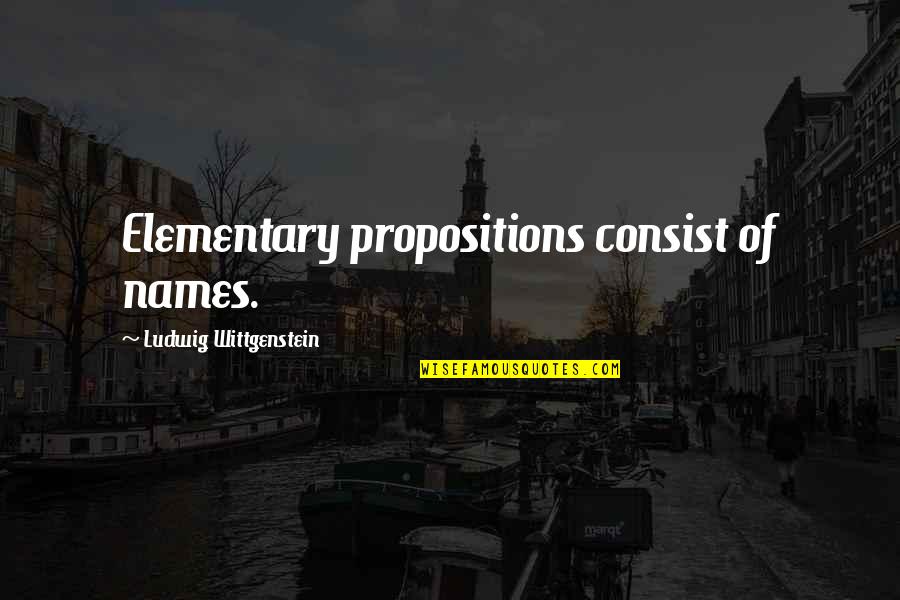 Wittgenstein's Quotes By Ludwig Wittgenstein: Elementary propositions consist of names. Wittgenstein's Quotes By Ludwig Wittgenstein: Elementary propositions consist of names.