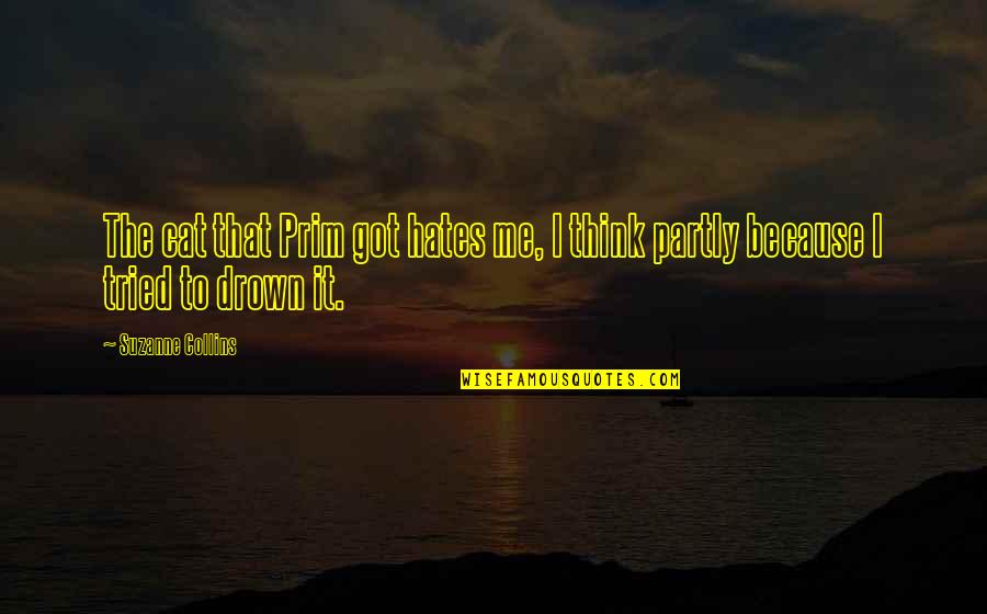 Wittrup Seafood Quotes By Suzanne Collins: The cat that Prim got hates me, I