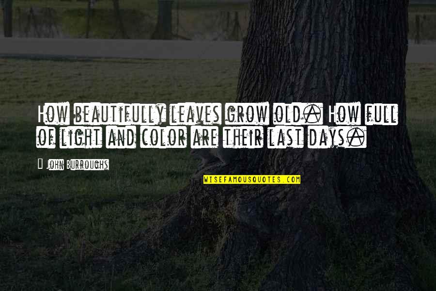Wittwer Inc Quotes By John Burroughs: How beautifully leaves grow old. How full of