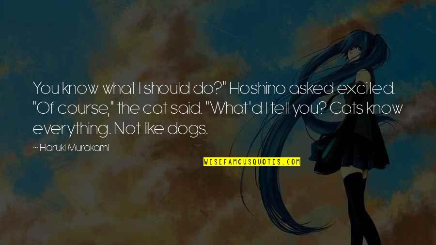 Witty Jerks Quotes By Haruki Murakami: You know what I should do?" Hoshino asked Witty Jerks Quotes By Haruki Murakami: You know what I should do?" Hoshino asked